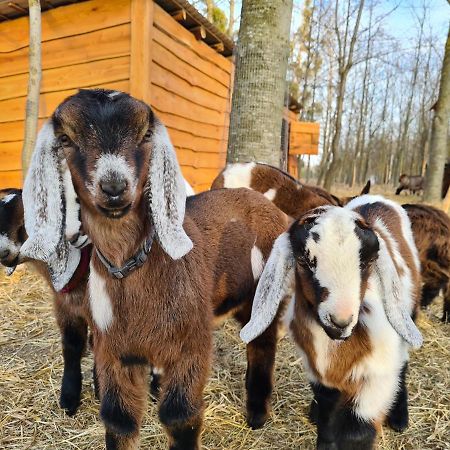 Istvan Parkhotel Es Gasztrofarm Sormas Luaran gambar